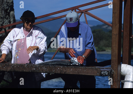 Pulizia di salmoni catturati da Rogue River, Oregon Foto Stock