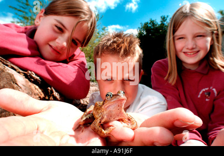 Imparare a conoscere la fauna selvatica di prima mano. Una scuola primaria studi della natura classe esamina una rana. Foto Stock