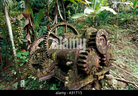 Caraibi, BWI, Santa Lucia, le rovine del Mulino a Pyke cascata. Foto Stock