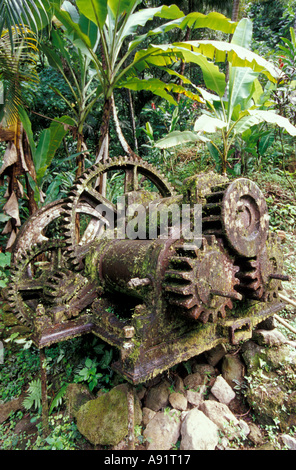 Caraibi, BWI, Santa Lucia, le rovine del Mulino a Pyke cascata. Foto Stock