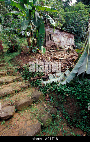 Caraibi, BWI, Santa Lucia, le rovine del Mulino a Pyke cascata. Foto Stock