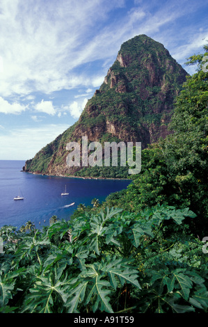 Caraibi, BWI, Santa Lucia, vista di chiodi da Ladera Resort. Foto Stock
