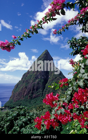 Caraibi, BWI, Santa Lucia, vista di chiodi da Ladera Resort. Foto Stock