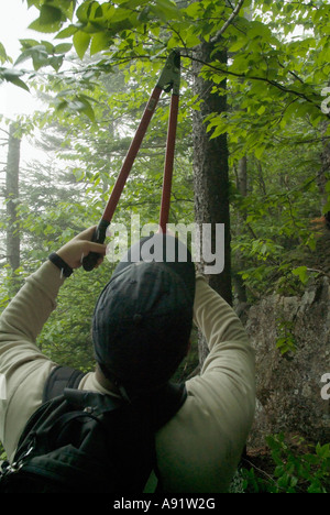 Appalachian Trail- Trail utilizzatori di lavoro sul Wildcat Ridge Trail nel piovoso e condizioni di nebbia. White Mountains, New Hampshire Foto Stock