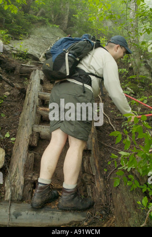 Appalachian Trail- Trail utilizzatori di lavoro sul Wildcat Ridge Trail nel piovoso e condizioni di nebbia. White Mountains, New Hampshire Foto Stock