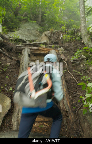 Appalachian Trail- Trail utilizzatori di lavoro sul Wildcat Ridge Trail nel piovoso e condizioni di nebbia. White Mountains, New Hampshire Foto Stock