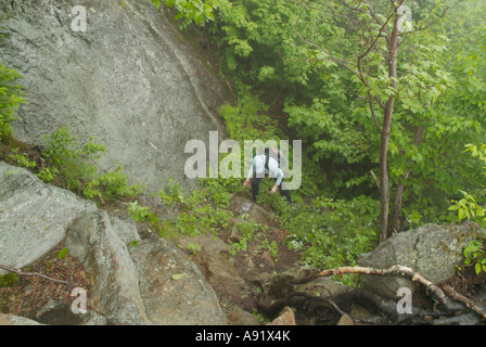 Appalachian Trail- Trail utilizzatori di lavoro sul Wildcat Ridge Trail nel piovoso e condizioni di nebbia. White Mountains, New Hampshire Foto Stock