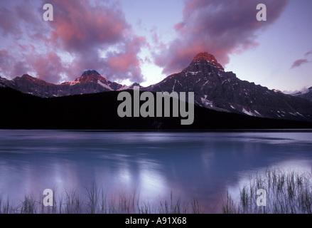 NA, Canada Banff NP, mattina la prima luce su Mt. Chepren e uccelli acquatici Lago Foto Stock