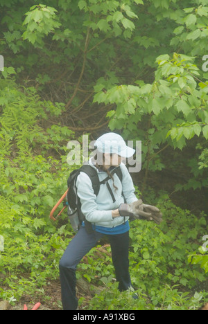 Appalachian Trail- Trail utilizzatori di lavoro sul Wildcat Ridge Trail nel piovoso e condizioni di nebbia. White Mountains, New Hampshire Foto Stock