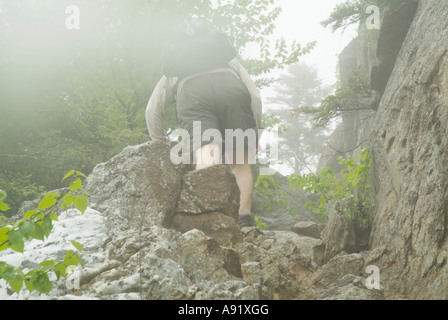 Appalachian Trail- Trail utilizzatori di lavoro sul Wildcat Ridge Trail nel piovoso e condizioni di nebbia. White Mountains, New Hampshire Foto Stock