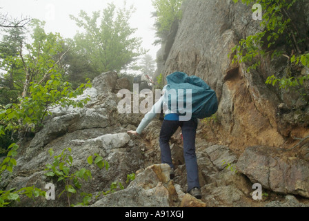 Appalachian Trail- Trail utilizzatori di lavoro sul Wildcat Ridge Trail nel piovoso e condizioni di nebbia. White Mountains, New Hampshire Foto Stock