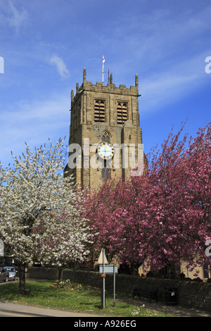 San Gregorio s chiesa torre alberi in fiore Bedale North Yorkshire England Regno Unito Foto Stock