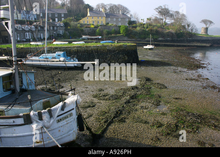 Il porto nel porto di Strangford, County Down, Irlanda del Nord Foto Stock