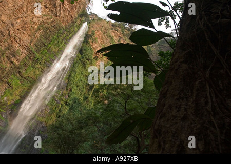 Wli Vlee cade Regione Voltiano Ghana Africa occidentale le cascate più alto in Africa occidentale Foto Stock