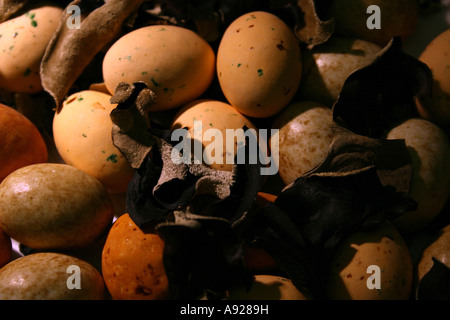 Le uova di Pasqua di cioccolata e cloud orecchio fungo Auricularia polytricha Foto Stock