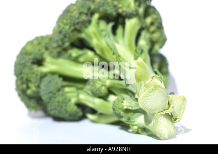 Brocolli Foto Stock