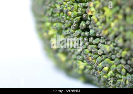 Brocolli Foto Stock