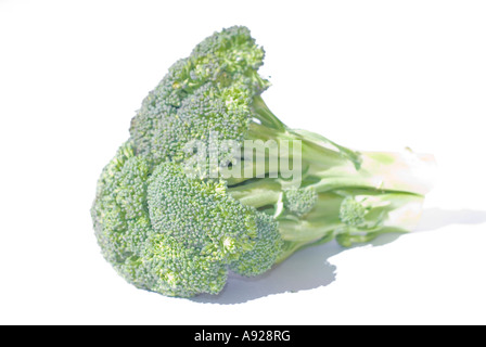 Brocolli Foto Stock