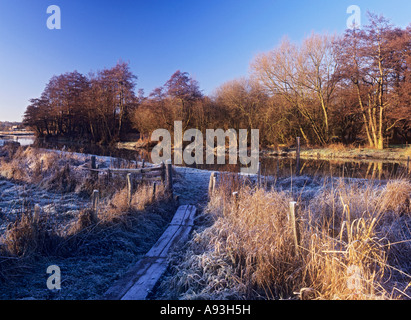 Il percorso del fiume Wey navigazione su un gelido inverno pieno di sole mattina guardando a monte di bloccaggio Triggs Surrey UK Foto Stock