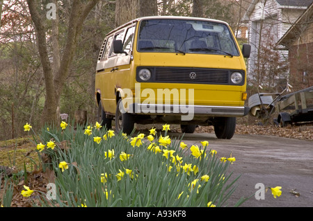 VW Vanagon e narcisi Foto Stock