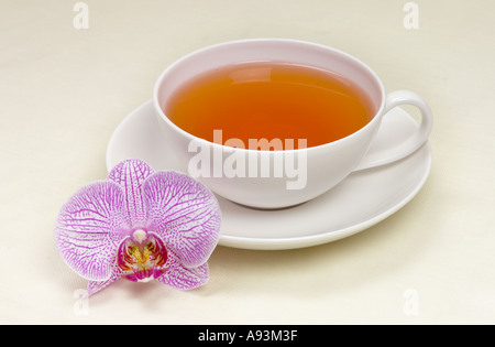 Una bella tazza di tè nero close up foto un'orchidea PHALAENOPSIS calma di servizio Foto Stock