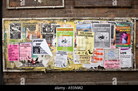 Lacerato e trasandato poster incollato ad un bordo sfumato in una strada posteriore Hereford Inghilterra REGNO UNITO Foto Stock