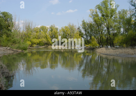 Paesaggio di pascoli a Orth an der Donau Foto Stock