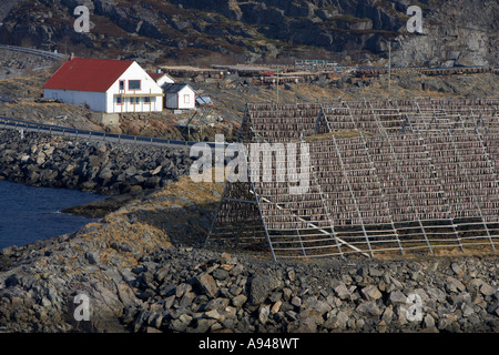 Merluzzo essiccazione, Henningsvaer, Lofoten, Norvegia Foto Stock