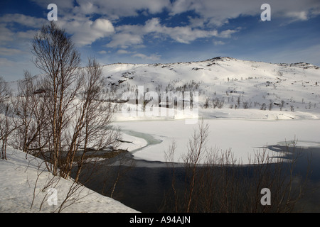 Paesaggio invernale con montagne, Lapponia, Norvegia Foto Stock