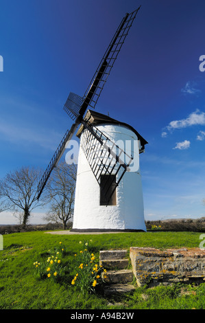 Ashton Mulino a Vento a Chapel Allerton nel Somerset, Inghilterra Foto Stock