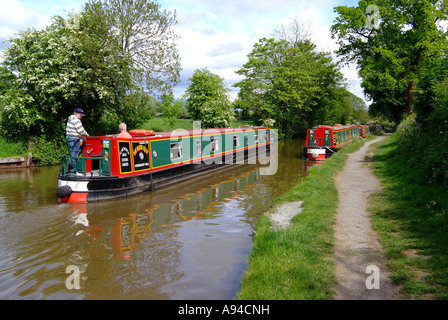 Dipinto luminosamente stretto passaggio barca barca ormeggiata su Llangollen Canal a Wrenbury Cheshire Foto Stock