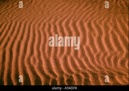 Increspature di sabbia Sossusvlei Namibia Foto Stock