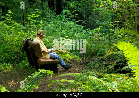 Escursionista maturo che riposa su panca isolata, foresta di sequoie. Foto Stock