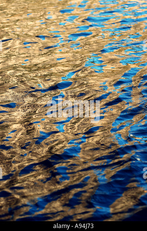 Oro Blu sheen sulla superficie dell'acqua dsca 3812 Foto Stock