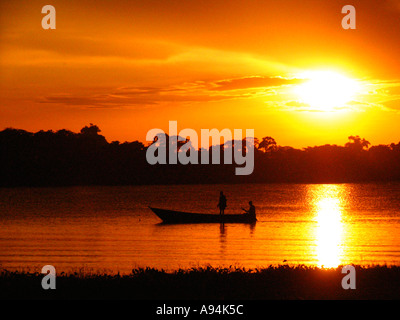 Fisherman tendendo le sue reti nel lago Vittoria in Uganda Africa orientale Foto Stock