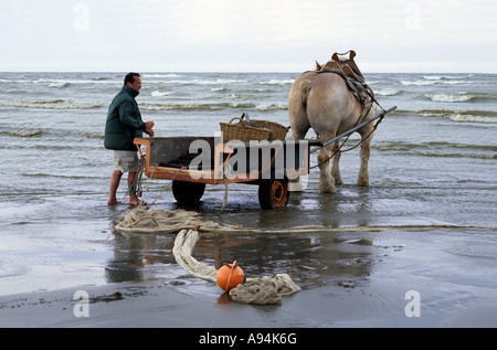 Reti pronto come pescatore si prepara per shrimping a cavallo, una tradizione unica per Oostduinkerke sulla costa belga. Foto Stock