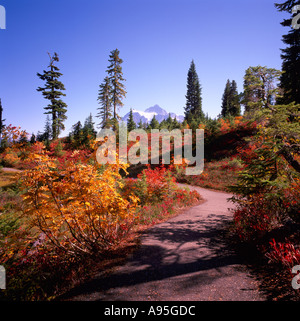 Mount Baker - Snoqualmie Foresta Nazionale, Washington, Stati Uniti d'America - Sentiero escursionistico attraverso "Heather Prati' prato alpino, Autunno / Autunno Foto Stock