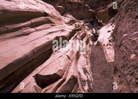 Parco Nazionale della Valle della Morte, California, CA, Stati Uniti d'America - escursionista escursionismo in mosaico Canyon Foto Stock