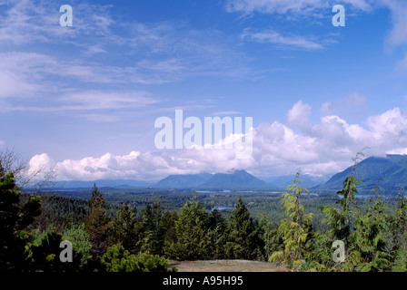 Una foresta pluviale temperata lungo la costa occidentale del Pacifico a Vancouver Island a Clayoquot Sound della Columbia britannica in Canada Foto Stock