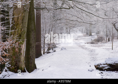 Gli inverni di giorno in scena nel Cheshire, UK. Foto Stock