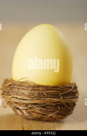 Uovo di Pasqua in un nido di uccelli Foto Stock