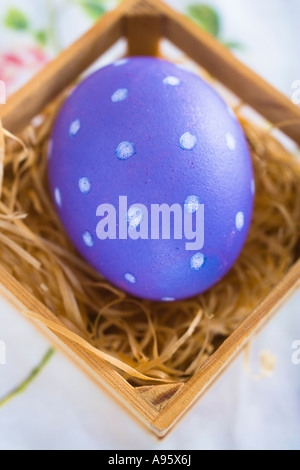 Uovo di Pasqua nel nido Foto Stock