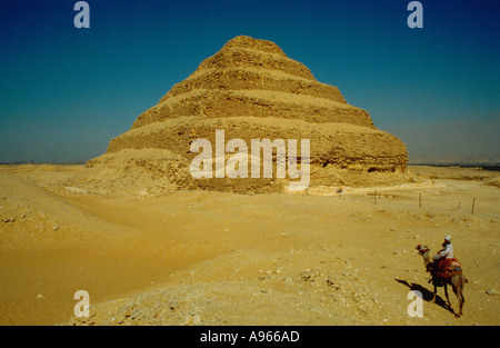 Cammello e piramide a gradini di Djoser a Saqqara Foto Stock