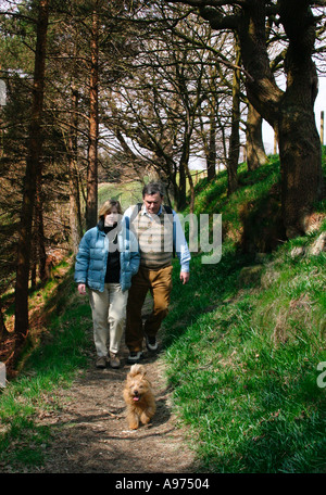 Coppia di mezza età a piedi attraverso i boschi con un piccolo Norfolk Terrier nello Yorkshire vicino a Hebden Bridge in Inghilterra Foto Stock