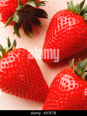 Agricoltura - Extreme closeup di fragole mature, in studio / STATI UNITI D'AMERICA. Foto Stock