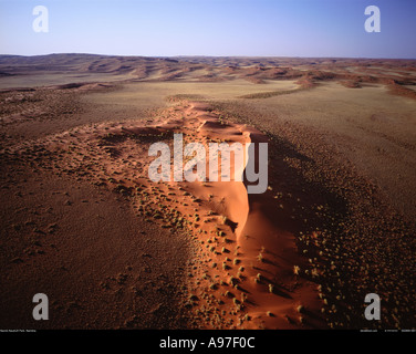 Namib Desert Namibia Africa Foto Stock