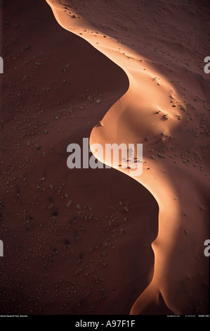 Namib Desert Namibia Africa Foto Stock