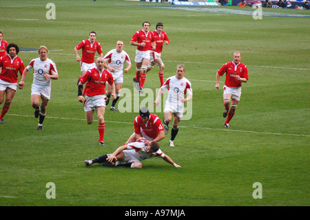 Il supporto arriva in Inghilterra galles twickenham 2347 Foto Stock