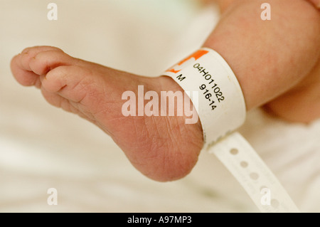 Piede neonato INDOSSANDO UN OSPEDALE BANDA DI IDENTIFICAZIONE Foto Stock