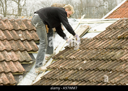 Un costruttore di montaggio di piastrelle su un tetto di una casa in estensione Foto Stock